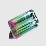1 pcs Groen, Roze, Blauw Toermalijn - 5.82 ct - nternational, Nieuw
