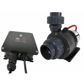 Red Dragon 3 - Speedy flow 100w 12m3 - 10v, Dieren en Toebehoren, Ophalen of Verzenden, Nieuw
