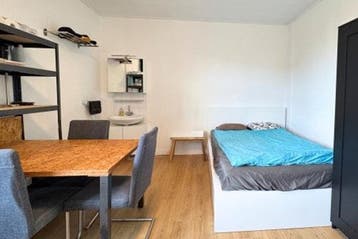 Kamer Koningin Emmaplein in Maastricht, 20 tot 35 m², Maastricht
