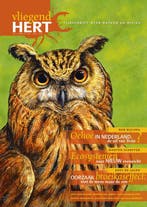 Vliegend Hert 9789052105604, Boeken, Verzenden, Gelezen