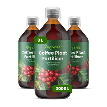 Koffieplant Vloeibare meststof - 3x1 liter, Verzenden, Mest