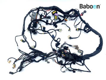 Kabelboom Benelli TNT 1130 Naked 2006-2007 TN0000, Verzenden, Gebruikt