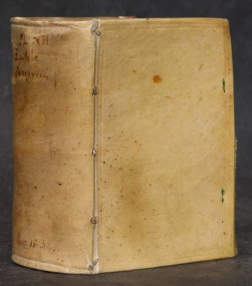 Plinius Secundus,C. (d.J.). - Epistolarum libri X cum notis