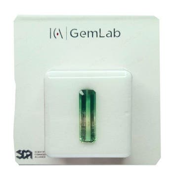 Zonder minimumprijs - 1 pcs Groen, Geel, Tweekleurig, Nieuw