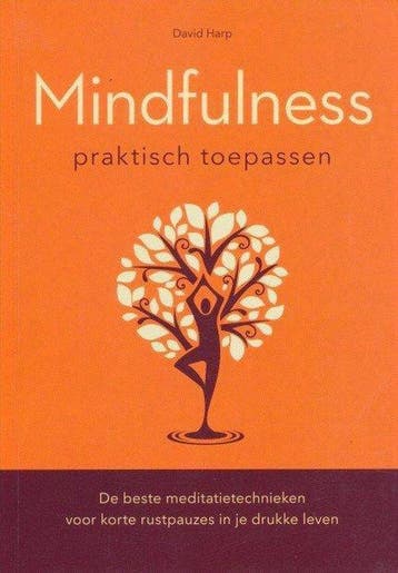 Mindfulness Praktisch Toepassen - Harp, Verzenden, Gelezen