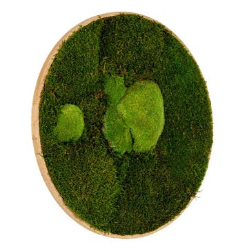 Vintlux Mosschilderij Rond 60 cm Ongelakt Eiken - Esbjerg, Nieuw
