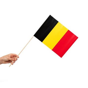 Zwaaivlaggetjes België 20x30cm (10st), Ophalen of Verzenden, Nieuw