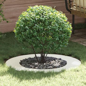 vidaXL geschikt voor platte boomringen 5 st Wit Ø50/80 cm, Verzenden, Nieuw, Metaal, 60 tot 100 cm