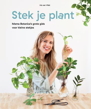 Stek je plant - Iris van Vliet 9789082968705, Verzenden, Zo goed als nieuw, Iris van Vliet