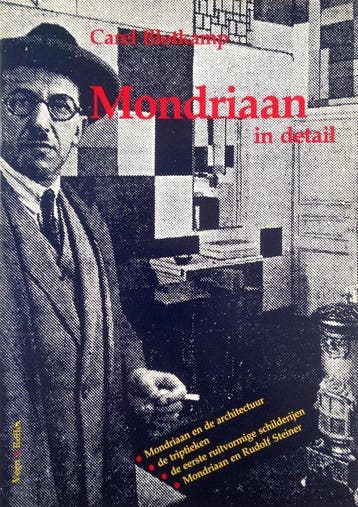 Mondriaan in detail - Blotkamp 9789063221478, Verzenden, Gelezen, Blotkamp