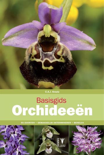 Basisgids orchideeën / Basisgids / 4 - Karel Kreutz, Verzenden, Gelezen, Karel Kreutz