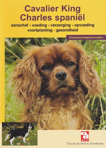 Cavalier King Charles Spaniel / Over Dieren / 60, Boeken, Verzenden, Gelezen