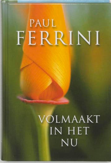 Volmaakt in het nu - Paul Ferrini 9789020283716, Boeken, Verzenden, Gelezen, Paul Ferrini