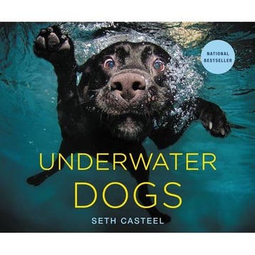Boek Underwater Dogs 9780316227704, Verzenden, Nieuw