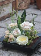 Oasis® terrabrick™ floral media 11,43x11,45x5 cm 8 pcs voor, Huis en Inrichting, Ophalen of Verzenden, Nieuw