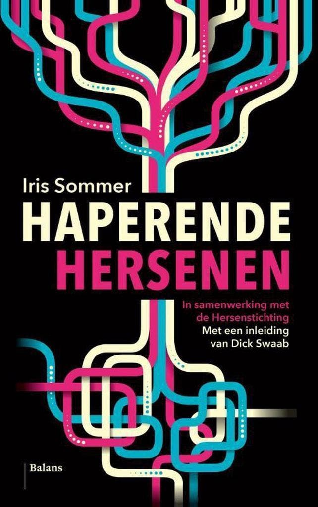 Haperende hersenen 9789460030581 Iris Sommer, Boeken, Gezondheid, Dieet en Voeding, Zo goed als nieuw, Verzenden