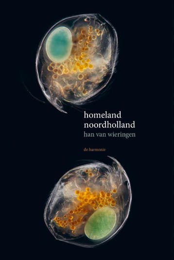 Homeland Noordholland | Han Wieringen | Nieuw, Ophalen of Verzenden, Nieuw, Han Wieringen