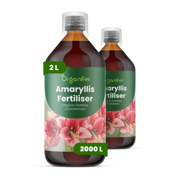 Amaryllis vloeibare meststof - Set van 2 x 1 liter, Verzenden, Mest