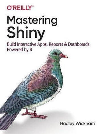 9781492047384 Mastering Shiny Hadley Wickham, Verzenden, Nieuw, Hadley Wickham