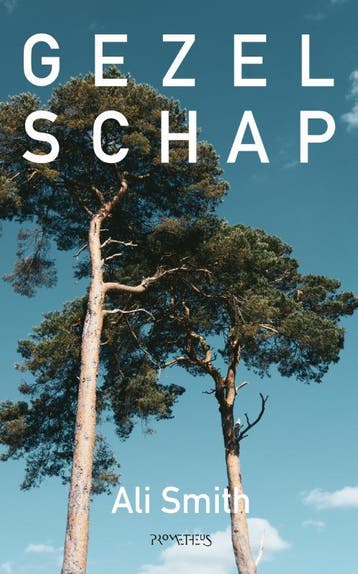 Gezelschap | Ali Smith | Nieuw, Ophalen of Verzenden, Nieuw, Ali Smith