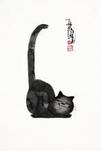 Laszlo Tibay (1962) - Matou Matisse