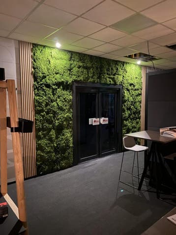 Hoge kwaliteit kunst mos wand per m2, Nieuw