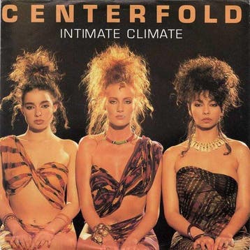Centerfold - Intimate Climate, Cd's en Dvd's, Ophalen of Verzenden, Gebruikt