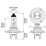 Hella Halogen H7 Bulb, Auto-onderdelen, Verlichting, Ophalen of Verzenden, Nieuw