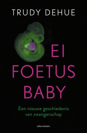 Ei, foetus, baby - Trudy Dehue 9789045039787, Verzenden, Gelezen, Trudy Dehue
