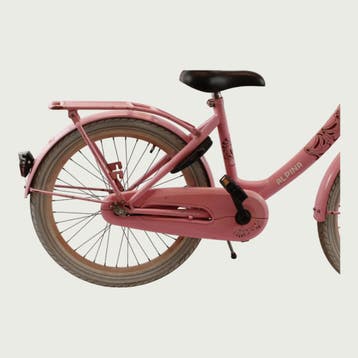 Alpina kinderfiets 22 inch, Ophalen of Verzenden, Gebruikt, Alpina