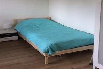 Kamer Pasteursingel in Rotterdam, 20 tot 35 m², Rotterdam