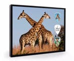 Giraffe plectrumdisplay, Verzamelen, Ophalen of Verzenden, Nieuw, Wild dier, Overige typen