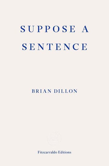 9781913097011 Suppose a Sentence Brian Dillon, Verzenden, Nieuw, Brian Dillon