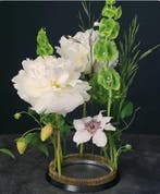 Bloemensteekbol kenzan fakirbed ikebana ring 150 360 messing, Ophalen of Verzenden, Nieuw