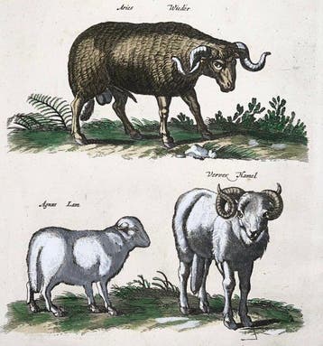 Matthäus Merian (1593-1650) - hand coloured engraving -