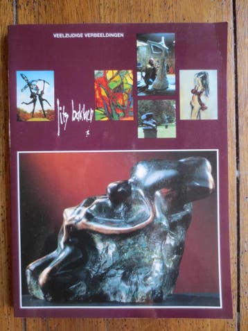 Jits Bakker - R. de Cnodder 9789080367111, Boeken, Verzenden, Gelezen, R. de Cnodder