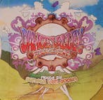 Sander van Doorn - Dance Valley Festival 2006, Ophalen of Verzenden, Gebruikt