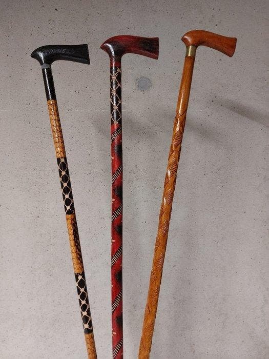 Wandelstok (3) - Hout, Antiek en Kunst, Kunst | Designobjecten
