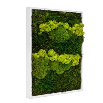 Vintlux Mosschilderij Lappenmos-Rendiermos-Bolmos 80x120 cm, Nieuw