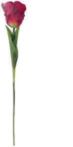 Parkiettulp Rood Zijden 56 cm per stuk, Ophalen of Verzenden, Nieuw
