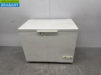 Frigidaire Vrieskist Vriezer 193 liter 230V Horeca, Ophalen of Verzenden, Gebruikt