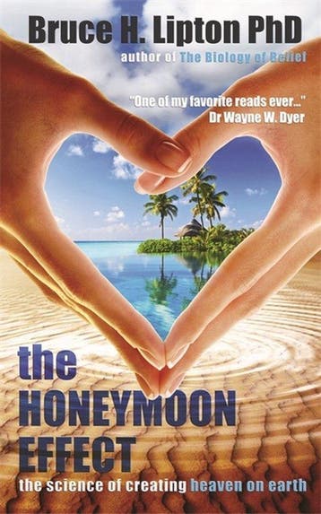 9781781801895 The Honeymoon Effect Bruce H. Lipton, Verzenden, Nieuw, Bruce H. Lipton