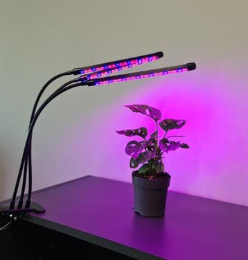 LED grow light - 3 voudig - Rood/blauw/paars - Met, Ophalen of Verzenden, Nieuw
