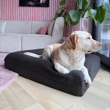 Buddy Beds Pullover Hoes Antraciet Maat L – Hondenmand Hoes, Ophalen of Verzenden, Zo goed als nieuw