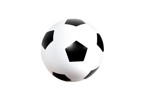Veiling - XL opblaasbare voetbal - 60 cm, Kinderen en Baby's, Speelgoed | Buiten | Opblaasfiguren