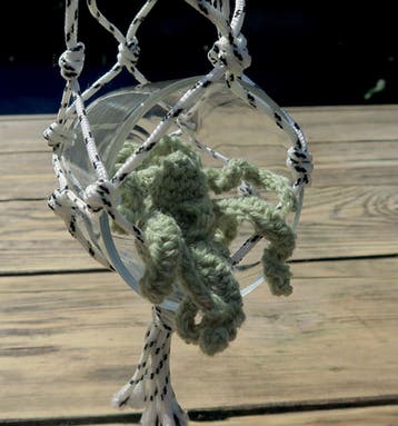 Haakpatroon Plantjes Haken - decoratieve vetplant, airplan, Ophalen of Verzenden, Nieuw