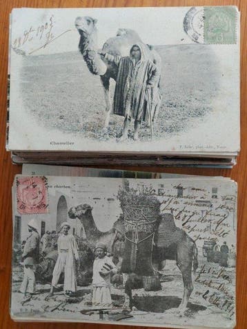 Tunesië - Noord-Afrika, Stad en Landschap, Kastelen en, Gelopen