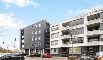 Te Huur 3 Kamer Appartement Manis Krijgsmanhof In Den Bosch, Den Bosch, Noord-Brabant, Direct bij eigenaar, Appartement