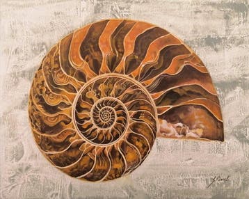 Guido Borelli - mezzo Nautilus