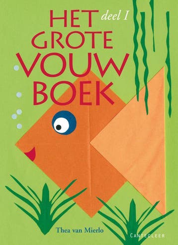 Het grote vouwboek - Thea van Mierlo 9789021331690, Verzenden, Zo goed als nieuw, Thea van Mierlo